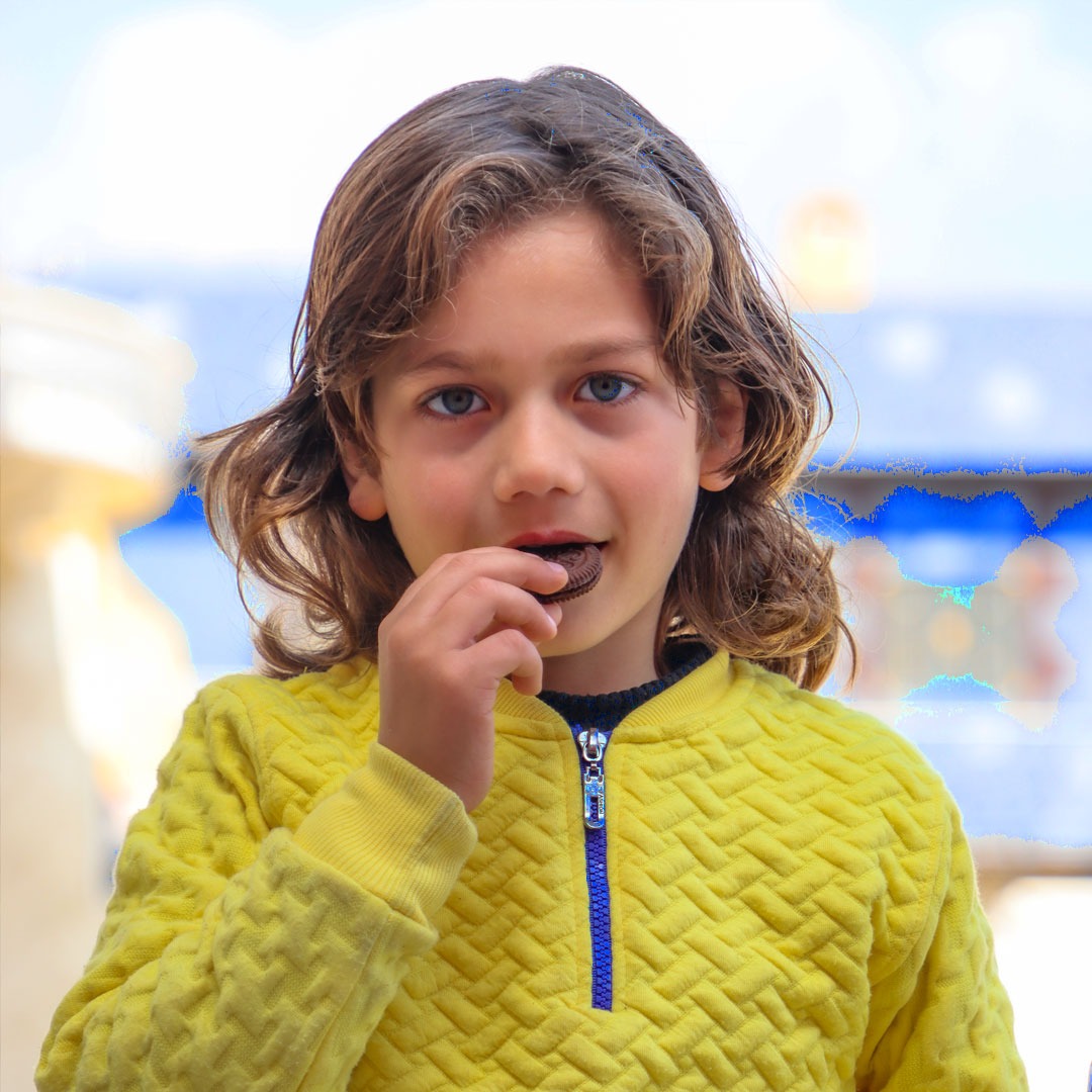 Various keto bar flavors